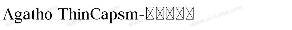 Agatho ThinCapsm字体转换